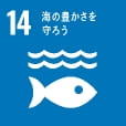 SDG14 海の豊かさを守ろう