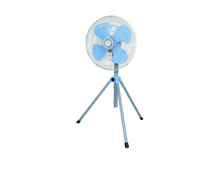 category6_1 image